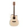 Ibanez PF Series Semi-Acoustic Open Pore, Natural