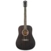 Washburn Deep Forest Ebony D Acoustic Guitar