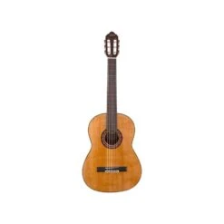 Valencia Vc404na 4/4-Size Classical Guitar