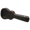 Epiphone Dreadnought Hard Case