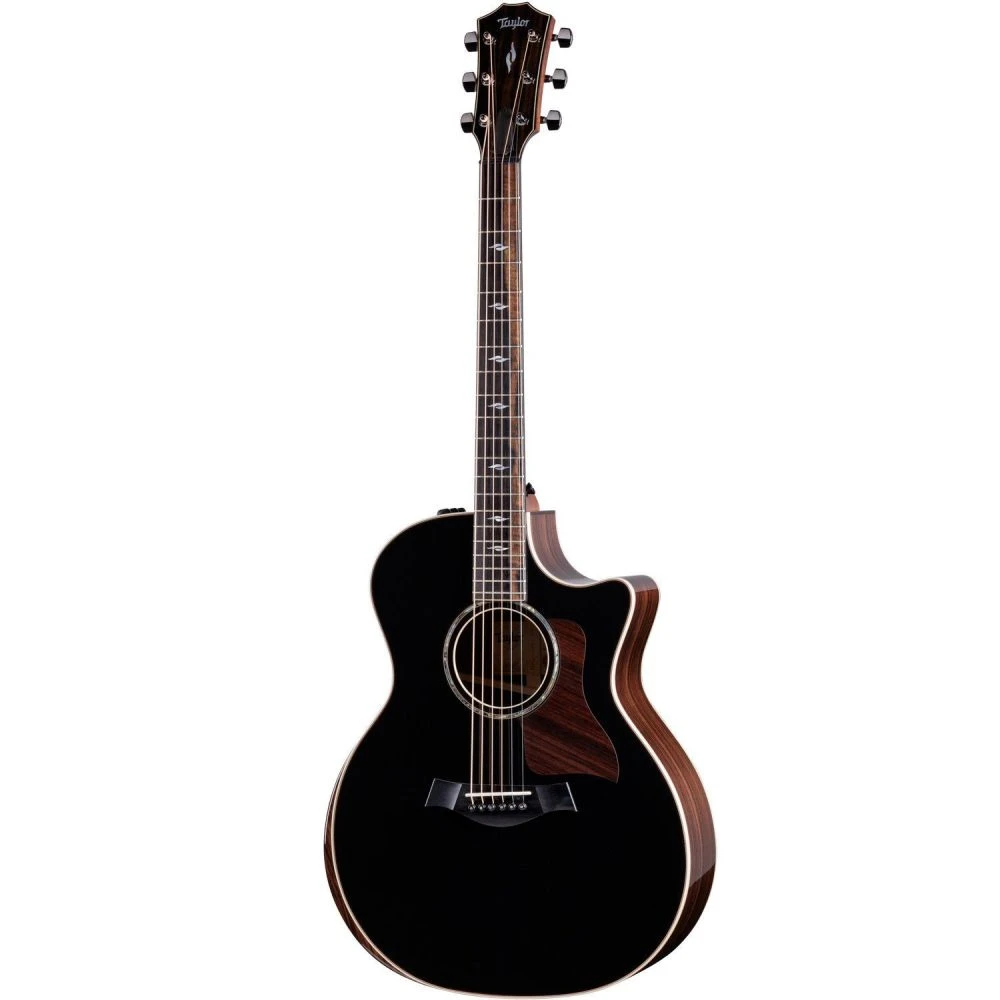 Taylor 814ce Blacktop Special Edition - Select Dealer Exclusive