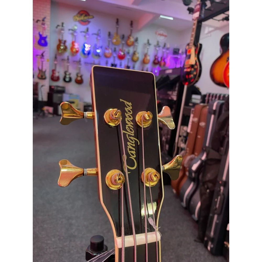 Pre-Owned Tanglewood TW55A Acoustic Fretless Bass - Image 4
