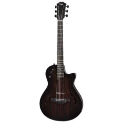 Taylor T5z Classic Rosewood - Select Dealer Exclusive