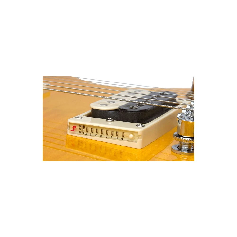 Epiphone Slash Les Paul Special II Performance Pack - Image 4