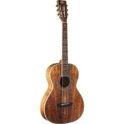 Washburn WP55NS Parlour Acoustic Guitar