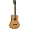 Washburn WP11SNS Parlour Acoustic Guitar