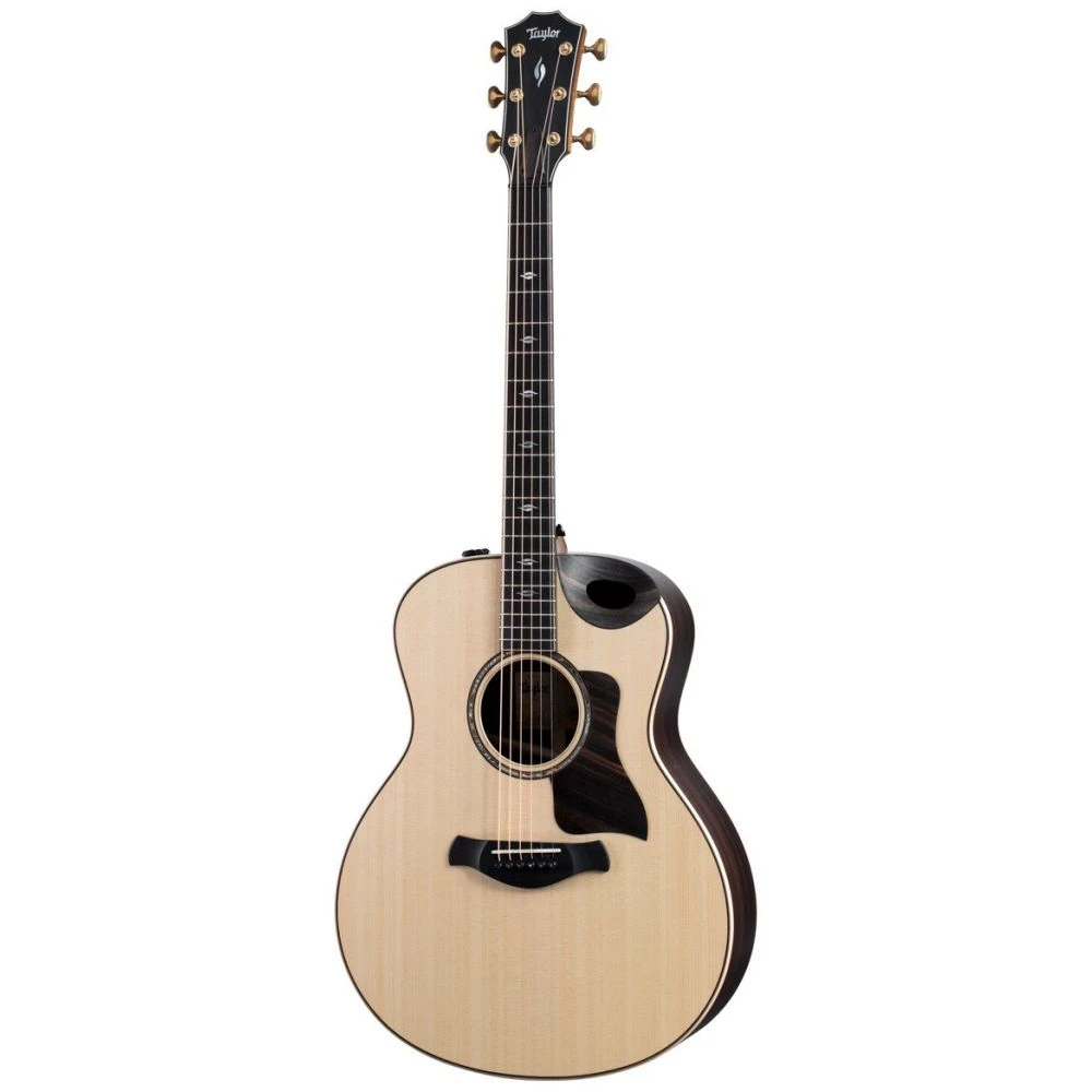 Taylor Builders Edition 816ce Electro Acoustic Guitar