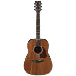Ibanez AW54-OPN Artwood Open Pore Acoustic Guitar, Natural